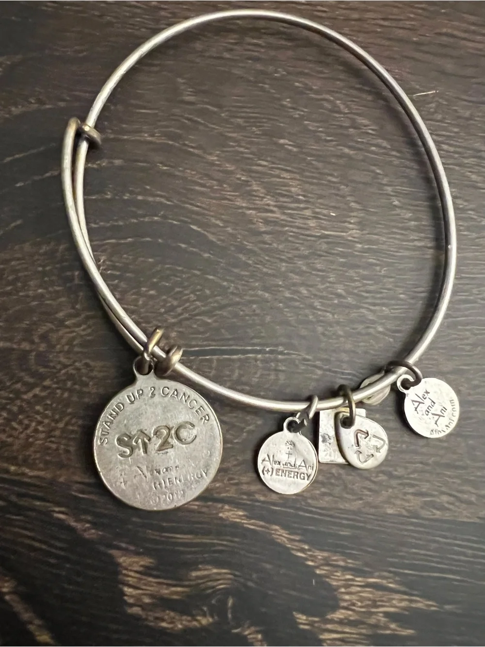 Alex and Ani Silver Tone Stackable Charm Bangle Bracelets Set of 9